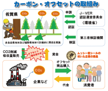 カーボンオフセットの取り組み