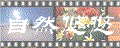 RII@̃XPb`