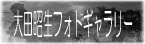 ctHgM[