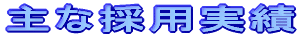 主な採用実績