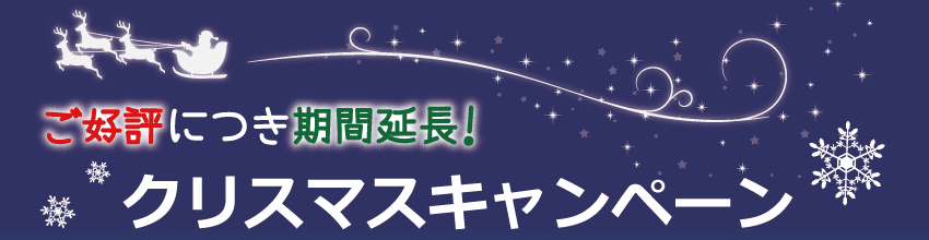 クリスマス期間中にお届け!早期予約キャンペーン